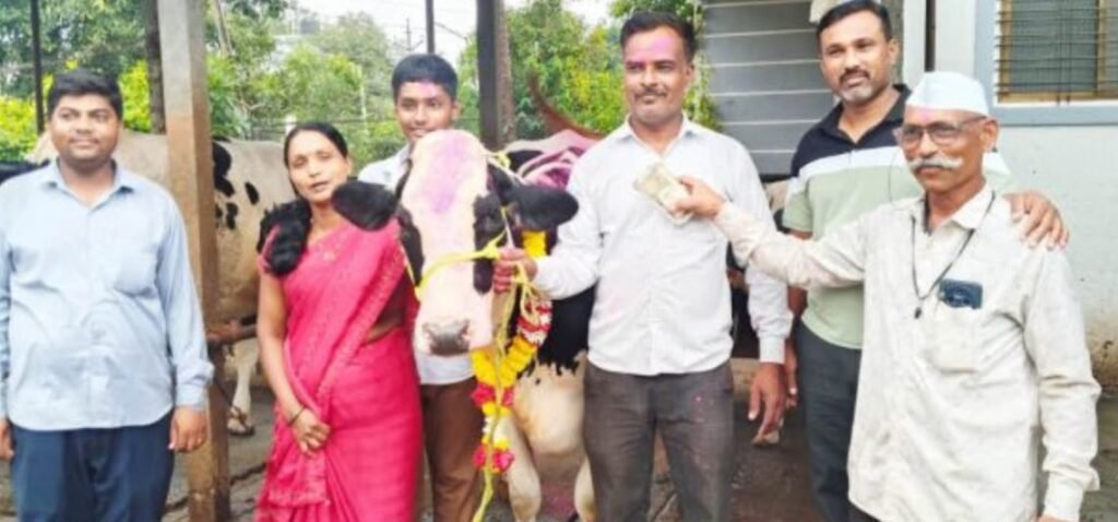 मुंढे यांच्या निर्णयामुळे गायीला मिळाला विक्रमी भाव