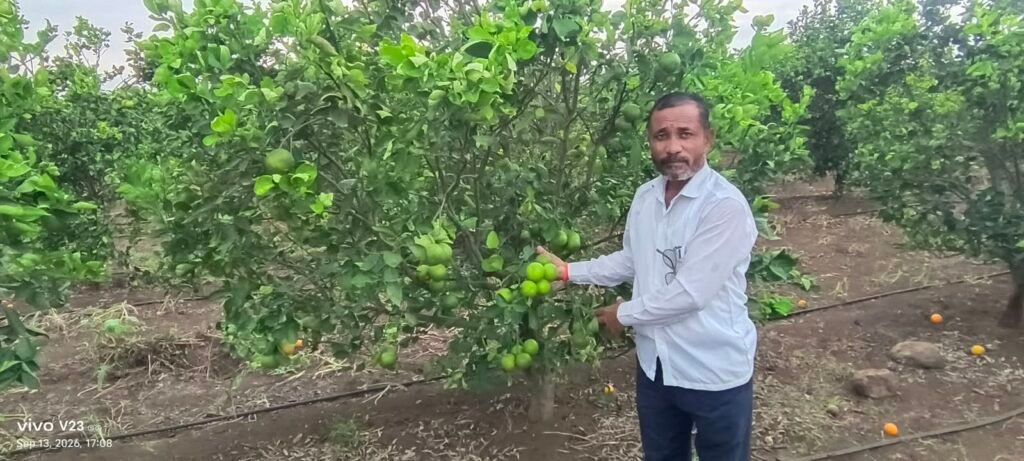 टॅनझेरीयन संत्रामधून सेवानिवृत्त प्रा. डॉ. सांगळे यांनी घेतले अडीच लाखाचे उत्पन्न